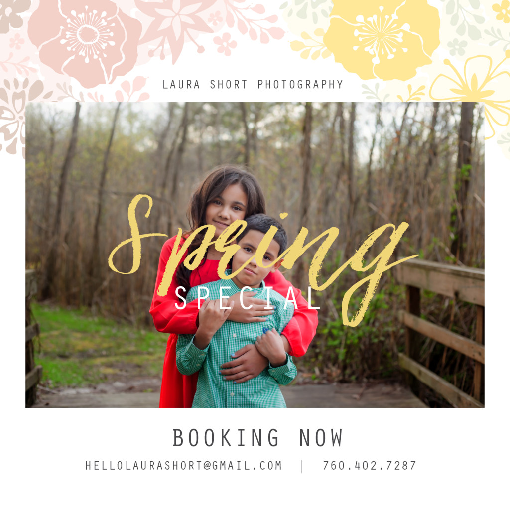 baltimore-spring-mini-sessions